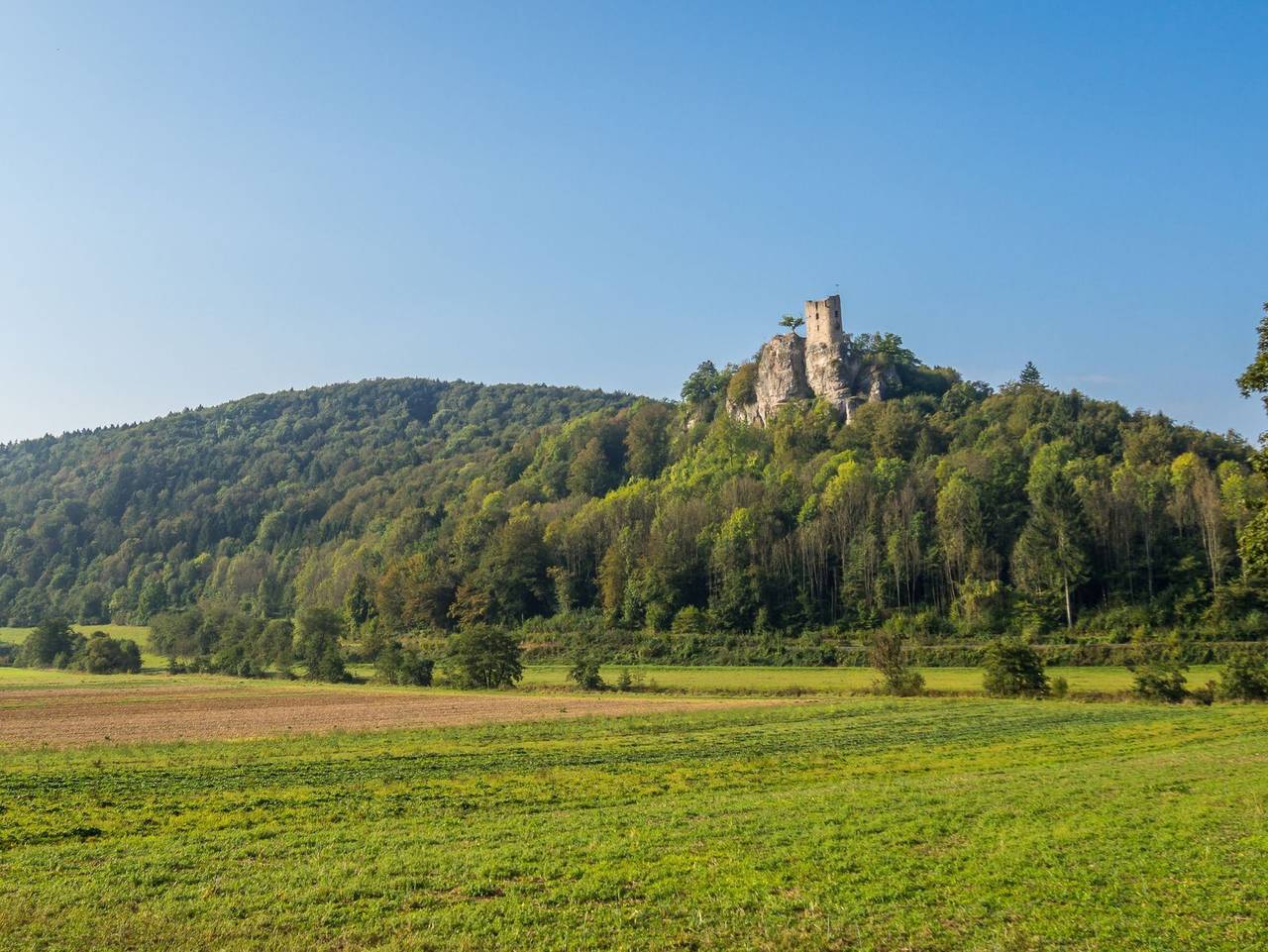 3 Zimmer App. Fränkische Schweiz I Miselgau-Obernsees - 3 Zimmer App. Fränkische Schweiz I Mistelgau-Obernsees in Mistelgau, Frankenalb
