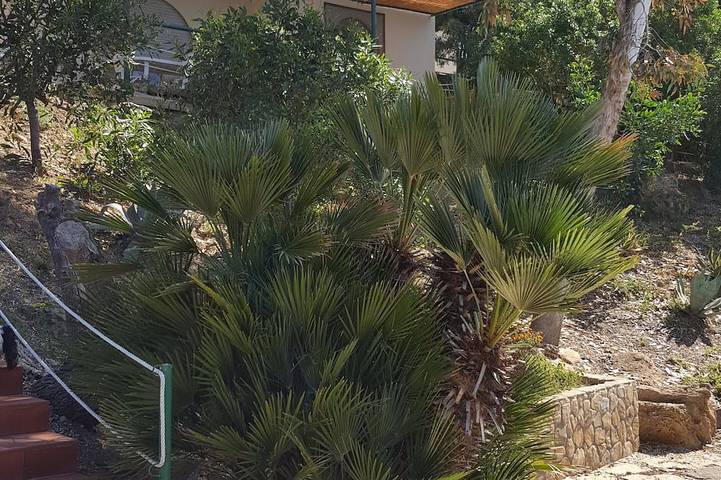Oase am Meer - Ferienhaus 5 direkt am Strand in Sciacca, Agrigento Provinz