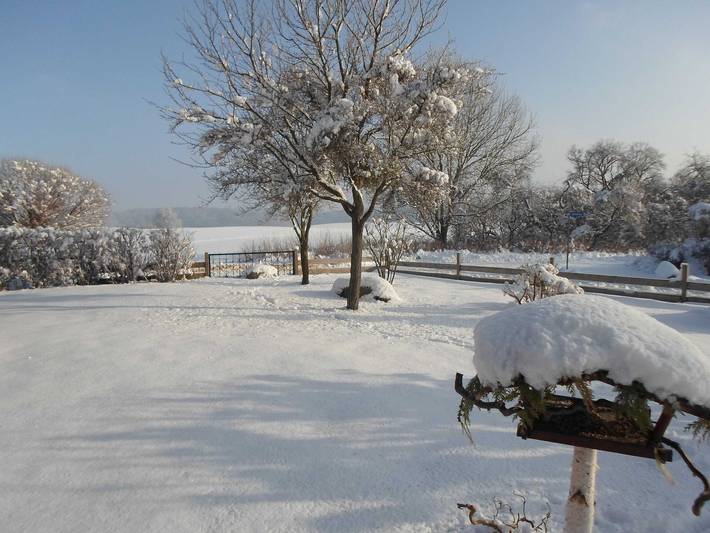 Ferienhaus für 4 Personen, mit Garten und Terrasse in der Feldberger Seenlandschaft