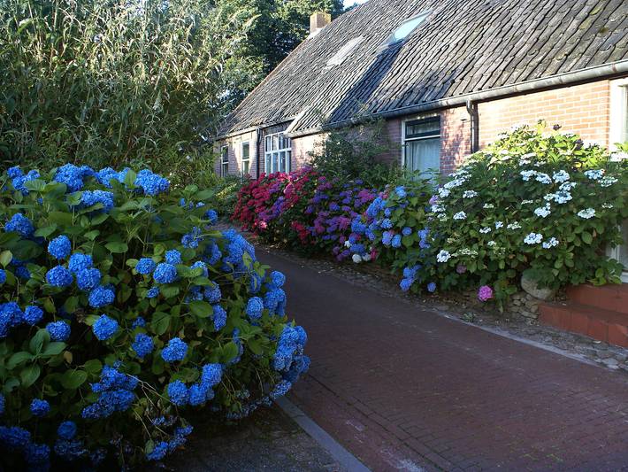 Ferienhaus für 12 Personen, mit Terrasse und Garten in Diever