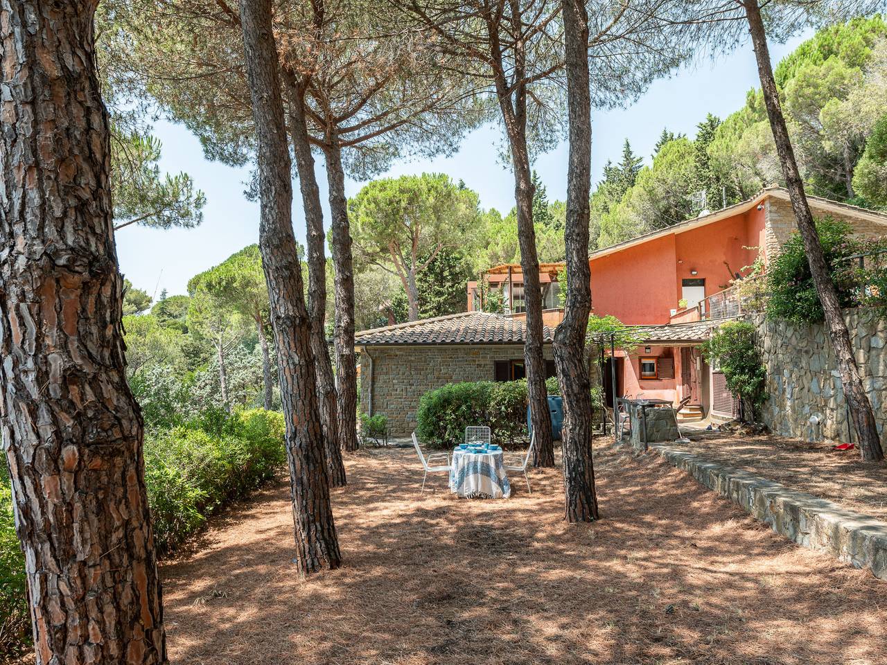 Sabrina in Castiglione della Pescaia, Provincia de Grosseto