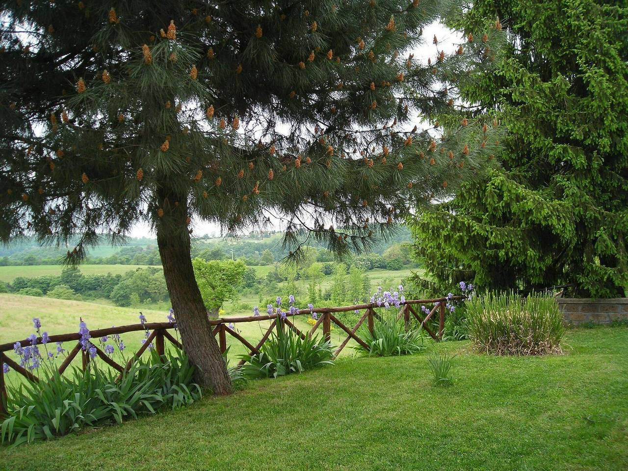 Ginestrella in Orvieto, Provincia di Terni