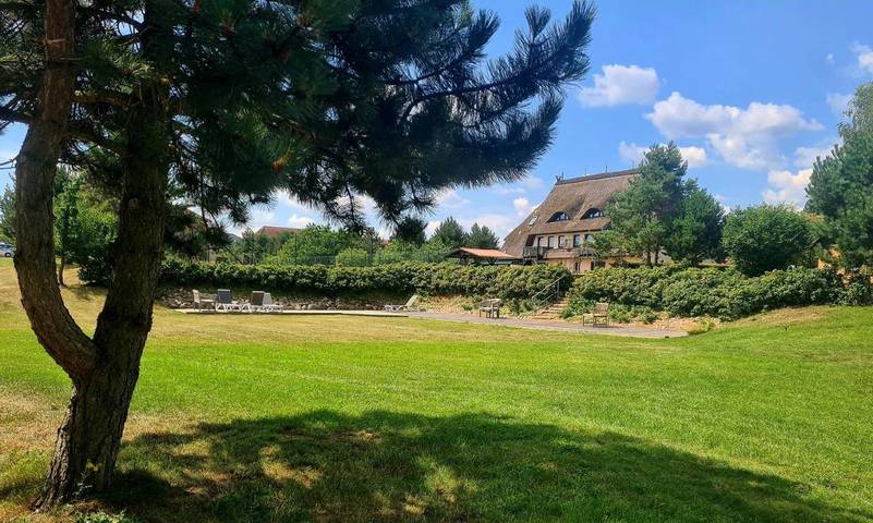 Hotel für 2 Personen, mit Ausblick und Sauna sowie Pool und Garten, mit Haustier in Dabel - 2