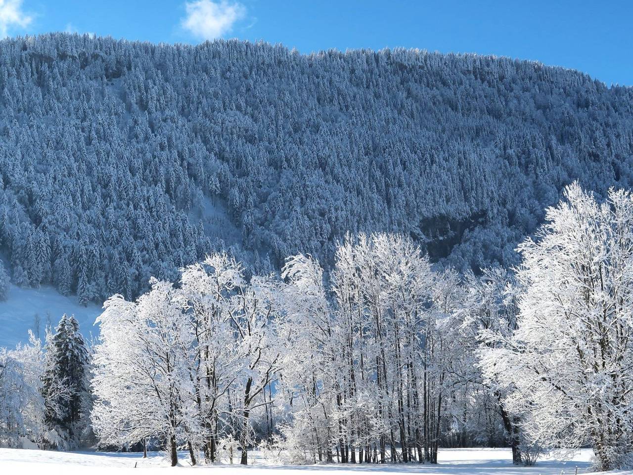 Ganze Ferienwohnung, Ferienwohnung Mian - Ferienwohnung Mian in Bezau, Bregenzerwald