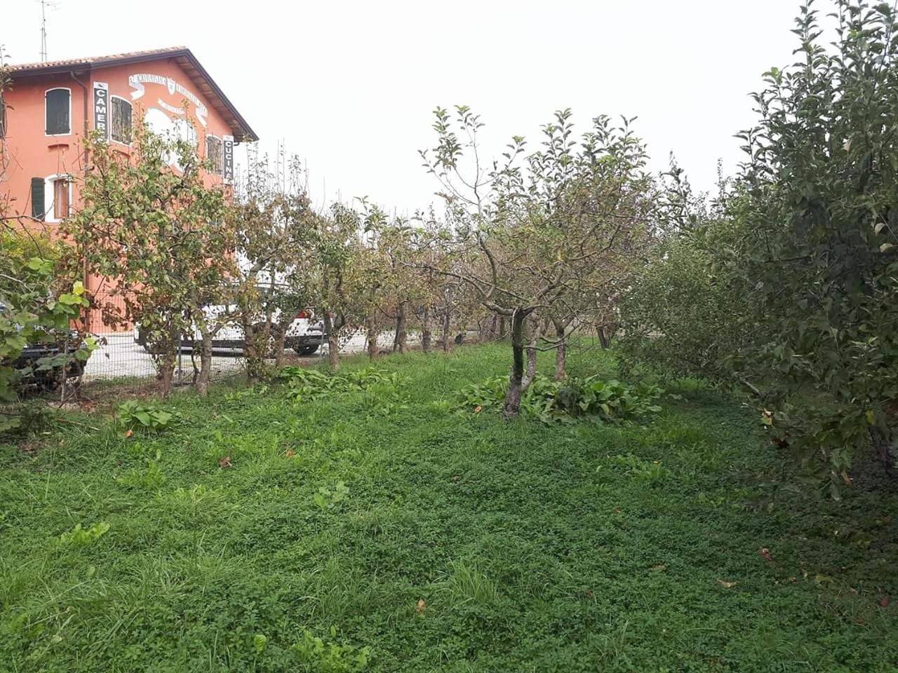 Quadrifoglio Relax in San Donà di Piave, Provincia di Venezia