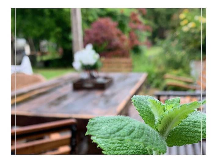 Gemütlich, 2 km von Lüdingworth entfernt: Terrasse, moderne Küche und Internet in Nordleda, Cuxland