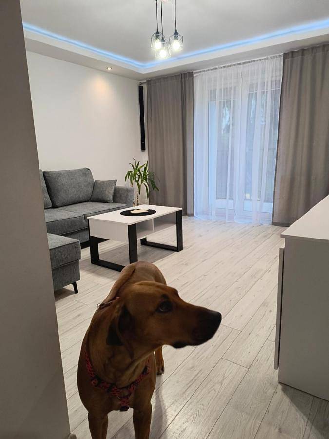 Cały apartament, Apartament Przy Rynku in Sanok, Karpaty (Polska)