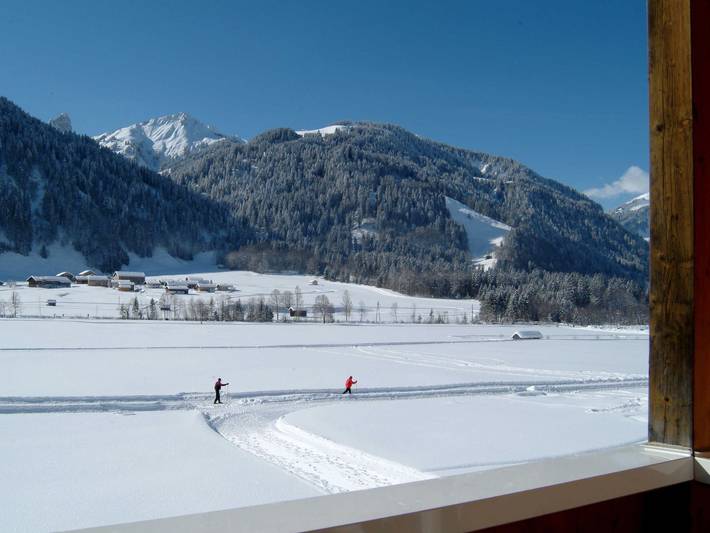 Ferienwohnung für 3 Personen, mit Garten und Terrasse, kinderfreundlich in Schoppernau - 2