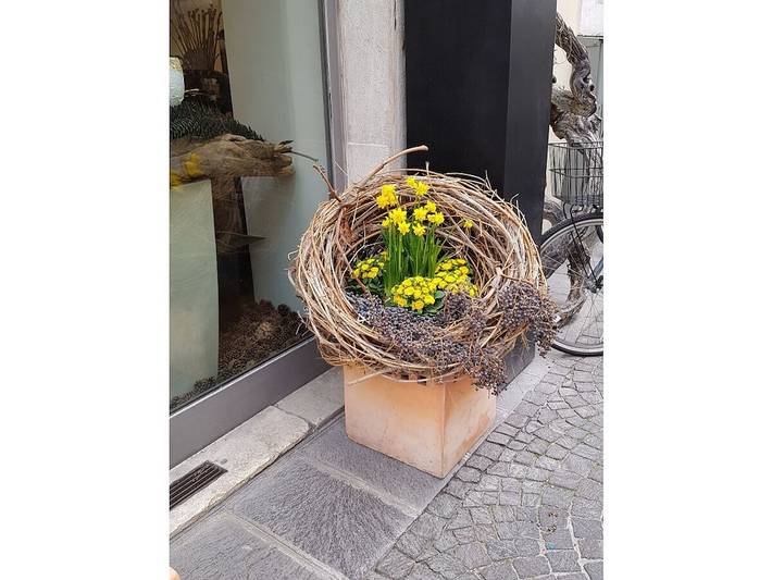 Ferienhaus für 2 Personen, mit Balkon und Garten im Mittenwald - 2