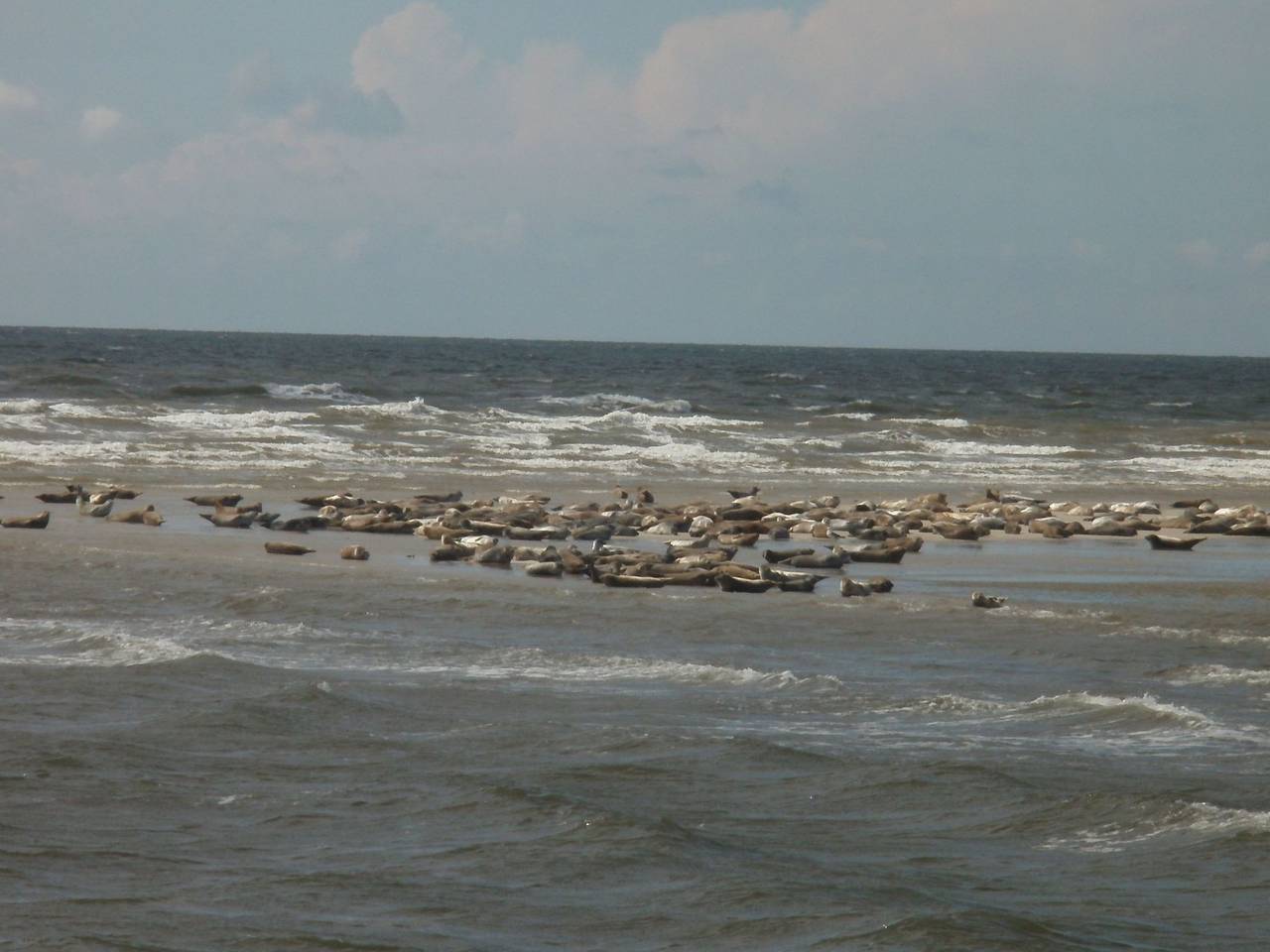 Ganze Wohnung, Nice Holidays in Pellworm, Nordseeküste