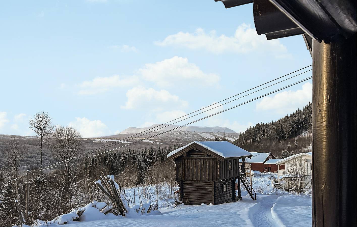 Feriehus for 6 personer med hage in Trysil 