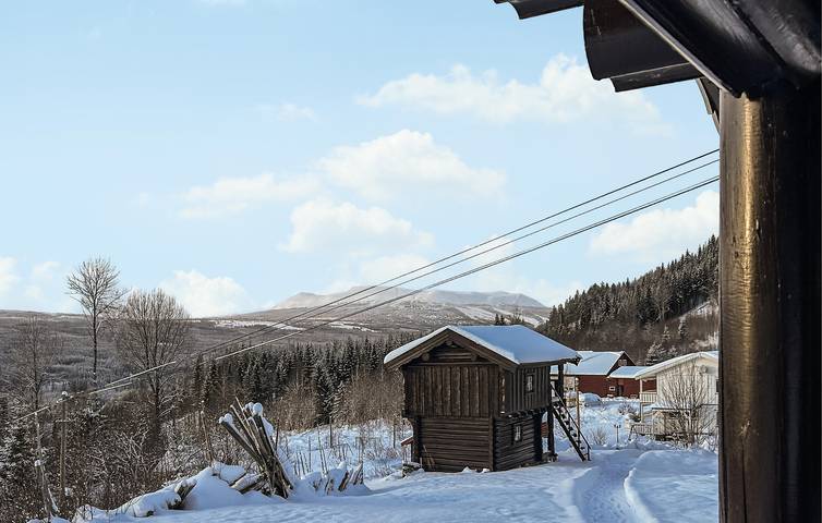 Ferienhaus für 6 Personen, mit Garten und Terrasse, mit Haustier in Trysil - 4