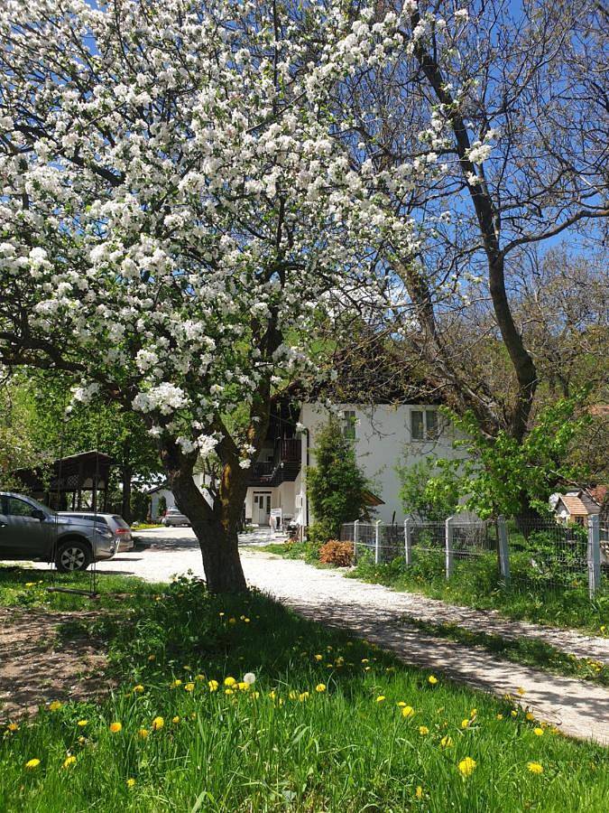 B&b per 2 persone, con Terrazza e Giardino in Romania