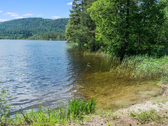 Loma-koli 3 in Loma-Koli, Pielinen