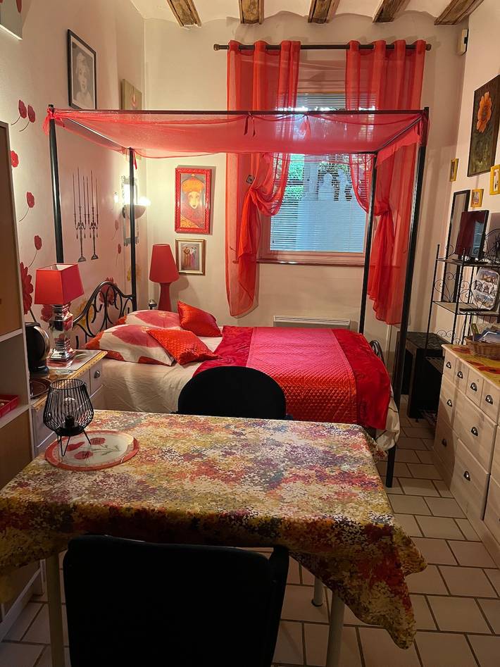 Hel enrumslägenhet, Charming Studio in Amboise in Amboise, Tours region