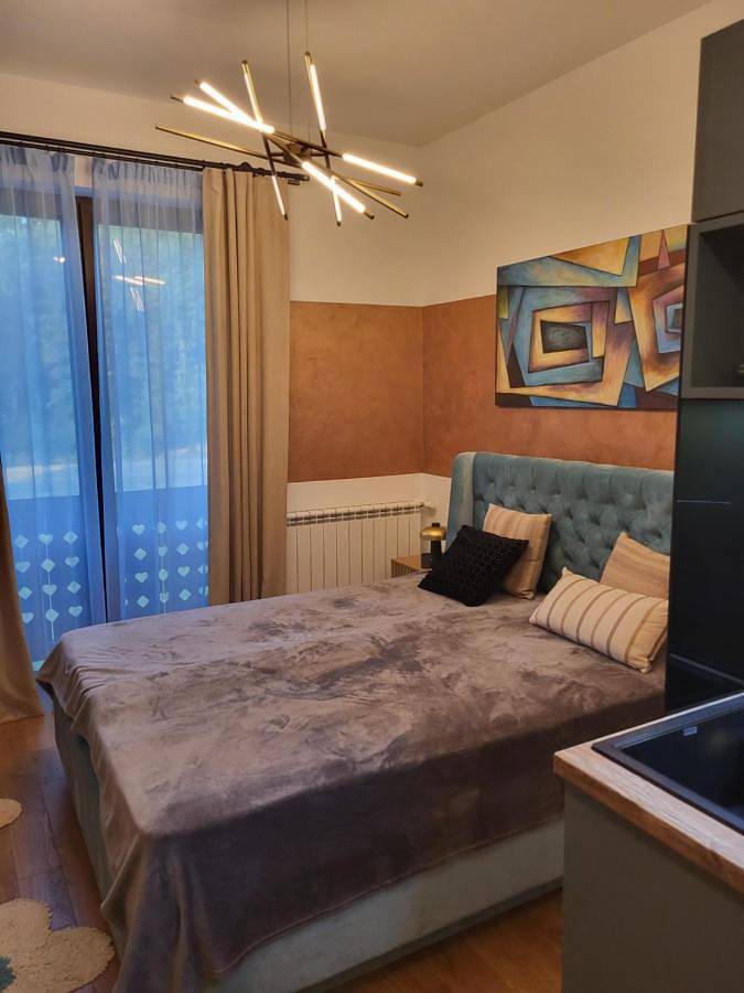 Maison d’hôte pour 2 personnes, avec sauna et piscine ainsi que jacuzzi et jardin dans Палић - 4