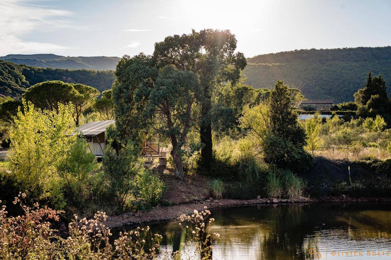 Domaine de Mont Redon in Le Puech, Région de Lodève