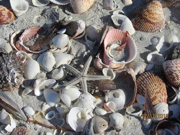 Vacation rental for 6 people, with balcony and pool in Sanibel Island (FL)