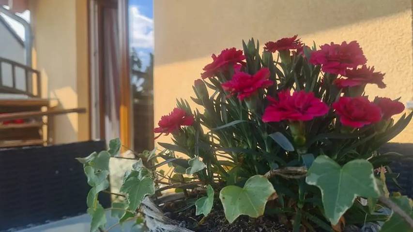 Ferienwohnung für 3 Personen, mit Garten in Biendorf - 4