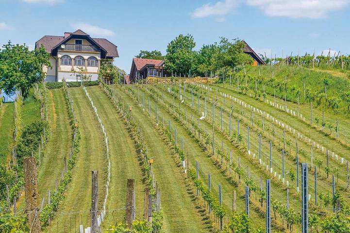 Ferienhaus mit Pool und Sauna in Südoststeiermark, Riegersburg