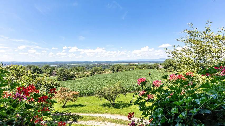 Ferienwohnung für 2 Personen, mit Balkon und Garten in Bad Bellingen - 3