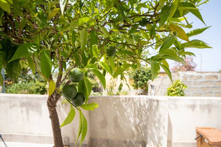 Vacation Home "La Casuzza Di Sara" with Private Terrace & Wi-Fi in Rocca di Capri Leone, Capri Leone