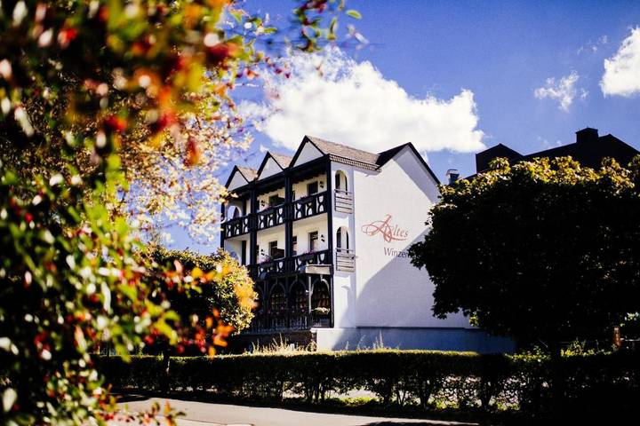Hotel für 3 Personen, mit Terrasse in Cochem - 4
