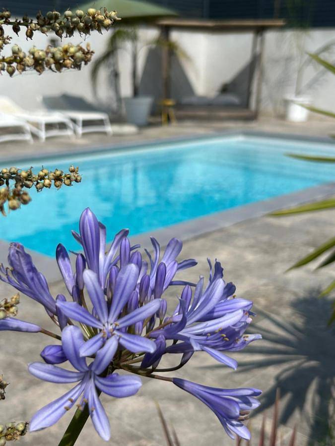 Villa pour 8 personnes, avec jardin ainsi que piscine et vue à Ajaccio - 2