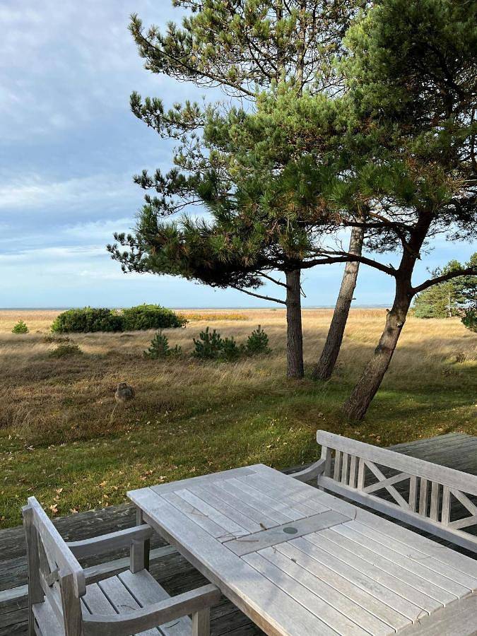 Ferieudlejning for 2 personer, med Terrasse i Vig