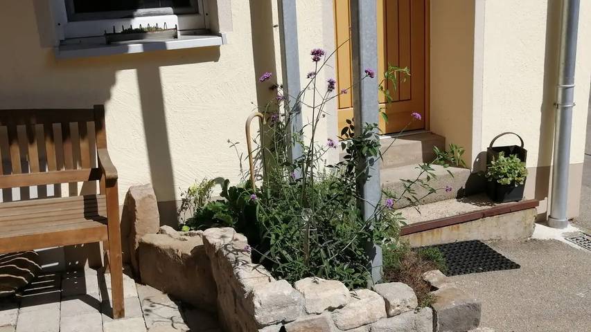 Gîte pour 2 personnes, avec jardin dans Tubingen - 3