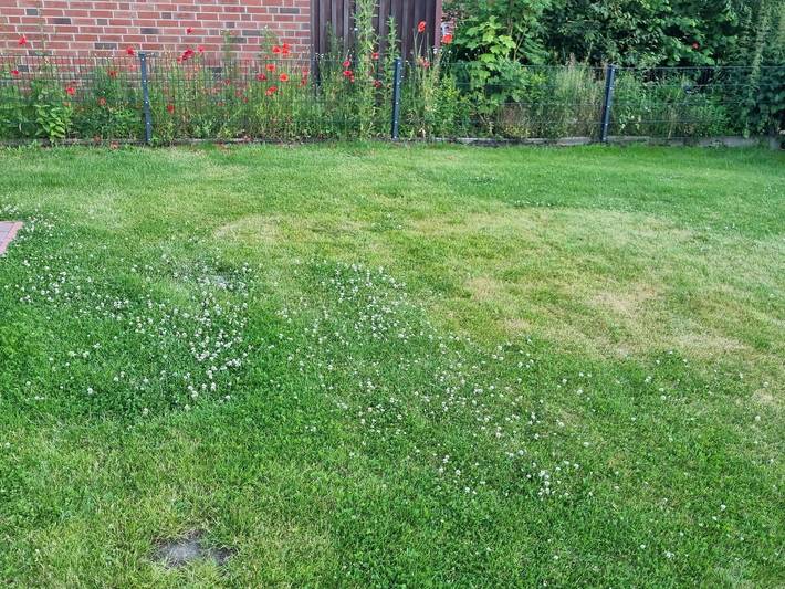 Ferienhaus für 4 Personen, mit Terrasse und Garten in Carolinensiel - 3