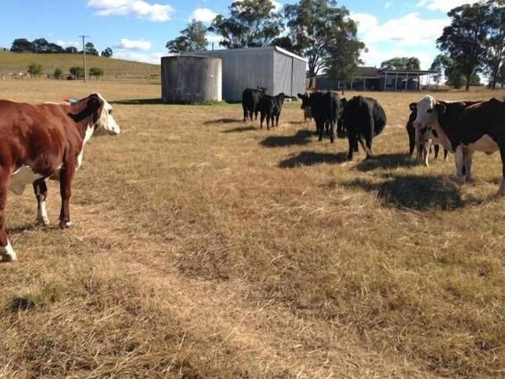 Agriturismo for 7 people, with garden in New South Wales