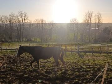 Glamping voor 3 Personen in Jura, Afbeelding 3