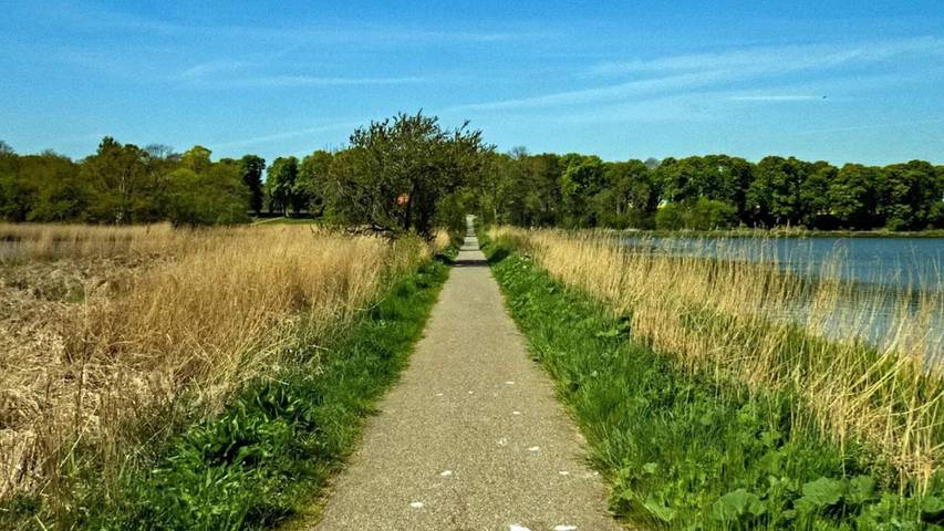 Ferienhaus für 9 Personen, mit Sauna und Garten sowie Whirlpool in Nysted - 3