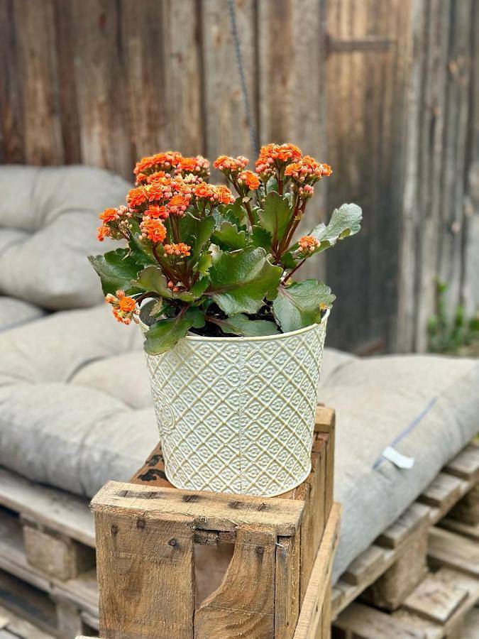 Location de vacances pour 12 personnes, avec terrasse et vue à Ambérieu-en-Bugey - 2