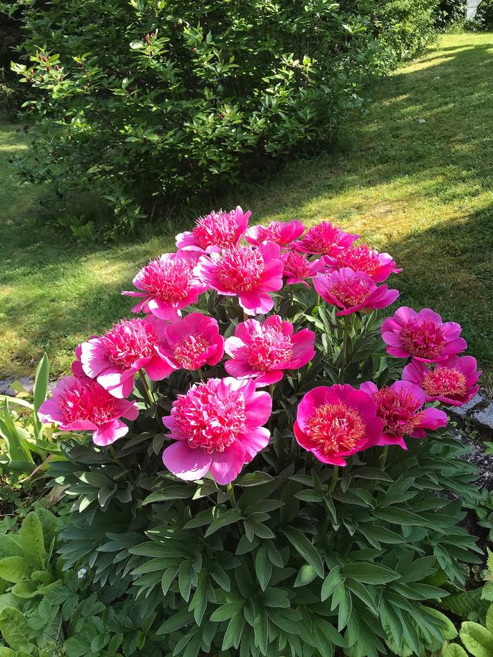 Villa « Coburg » avec jardin privé et Wi-Fi in Cobourg, Oberes Maintal - Coburger Land