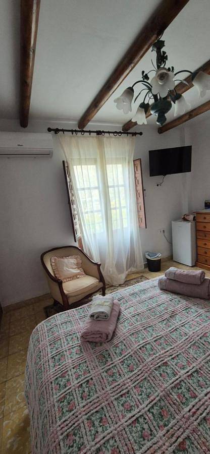 Gîte pour 3 personnes, avec jardin et vue à Pinos Genil - 2