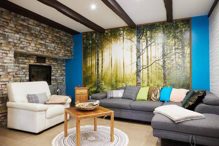 Location de vacances pour 14 personnes, avec jardin, animaux acceptés à Drulhe