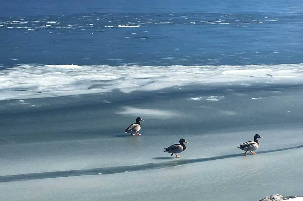 Entire apartment, Apartment Ape Maja in Bad Wiessee, Bavarian Alps