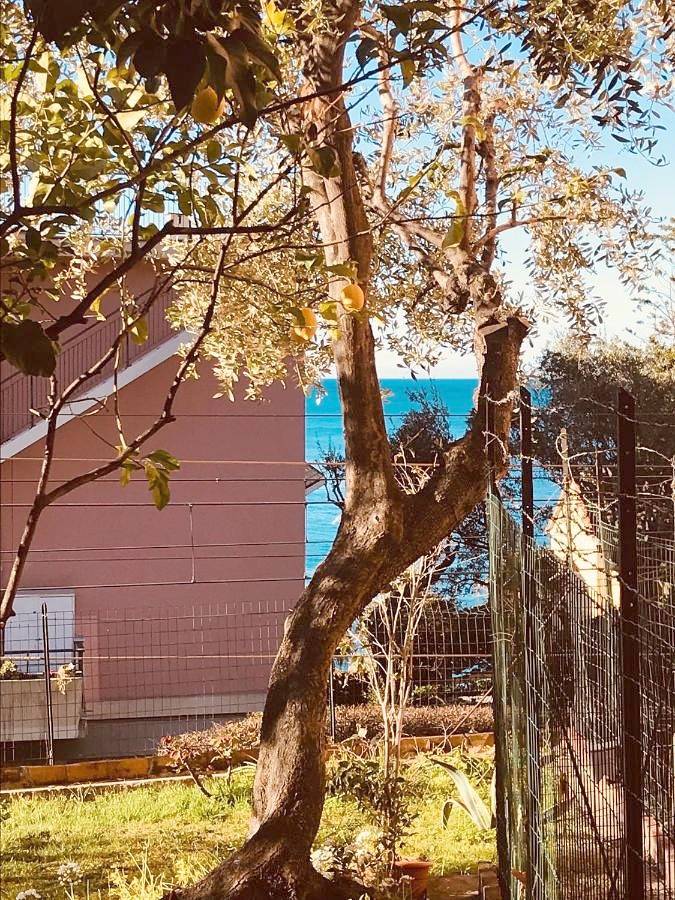 Gîte pour 4 personnes, avec jardin et vue à Bogliasco - 4