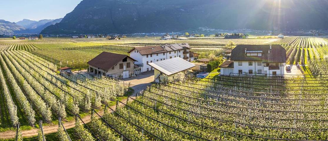 Ganze Wohnung, Apartment 'Auelehof Matilde' mit Bergblick, WLAN und Klimaanlage in Leifers, Fleimstaler Alpen