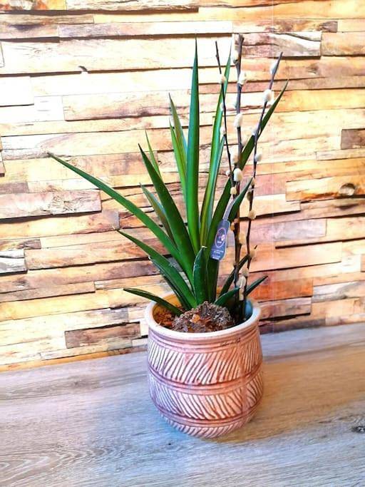 Location de vacances pour 6 personnes, avec jardin à Lillers - 3