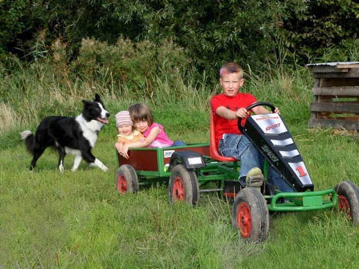 Bauernhof für 5 Personen in Tönning - 4