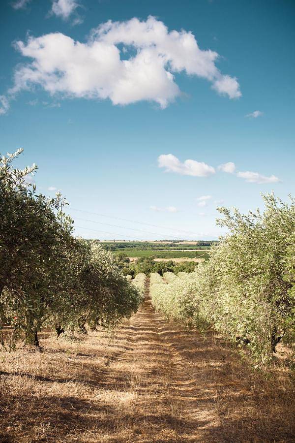 Location de vacances pour 4 personnes, avec vue ainsi que terrasse et jardin à Alignan-du-Vent - 2
