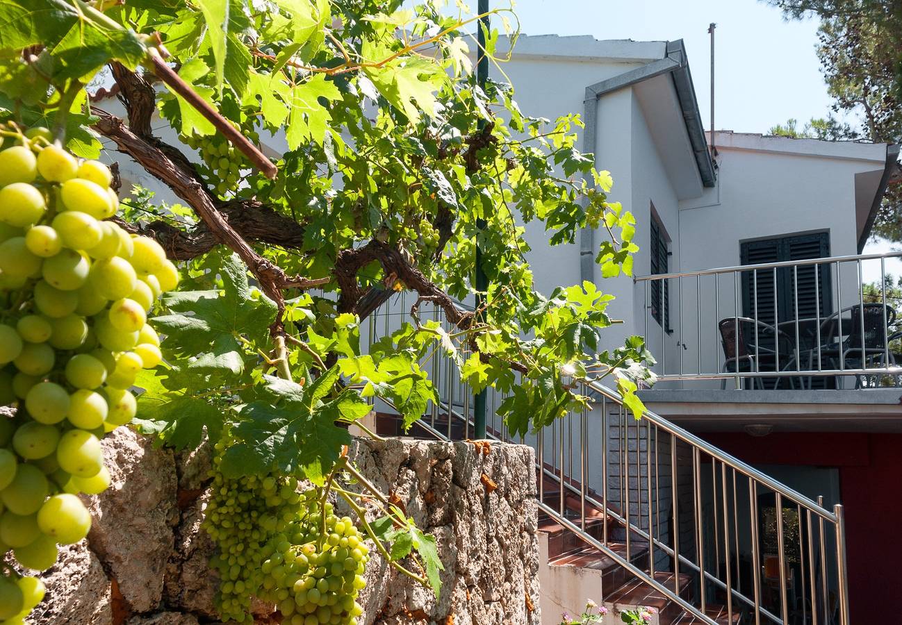 Cały apartament, Trzypokojowy apartament z tarasem i widokiem na morze Mimice, Omis A-2972-a in Mimice, Omiš-Riviera