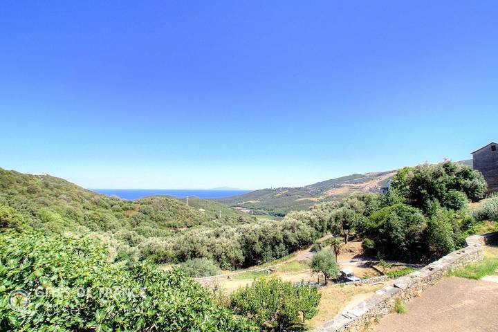 Legnu in Rogliano, Cap Corse