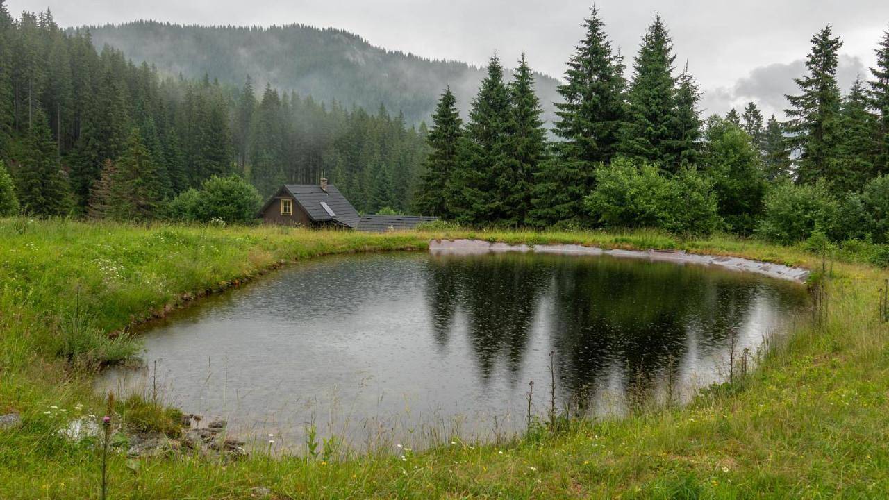 Double Room in Jasná Nízke Tatry – Chopok, Low Tatras