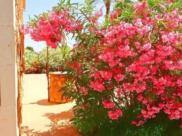 Villa in Campos, South Majorca für 6 