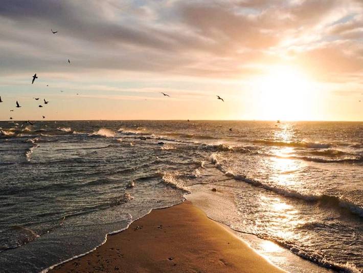 Ferienhaus für 2 Personen, mit Pool und Sauna sowie Balkon, kinderfreundlich in Nordjütland - 4