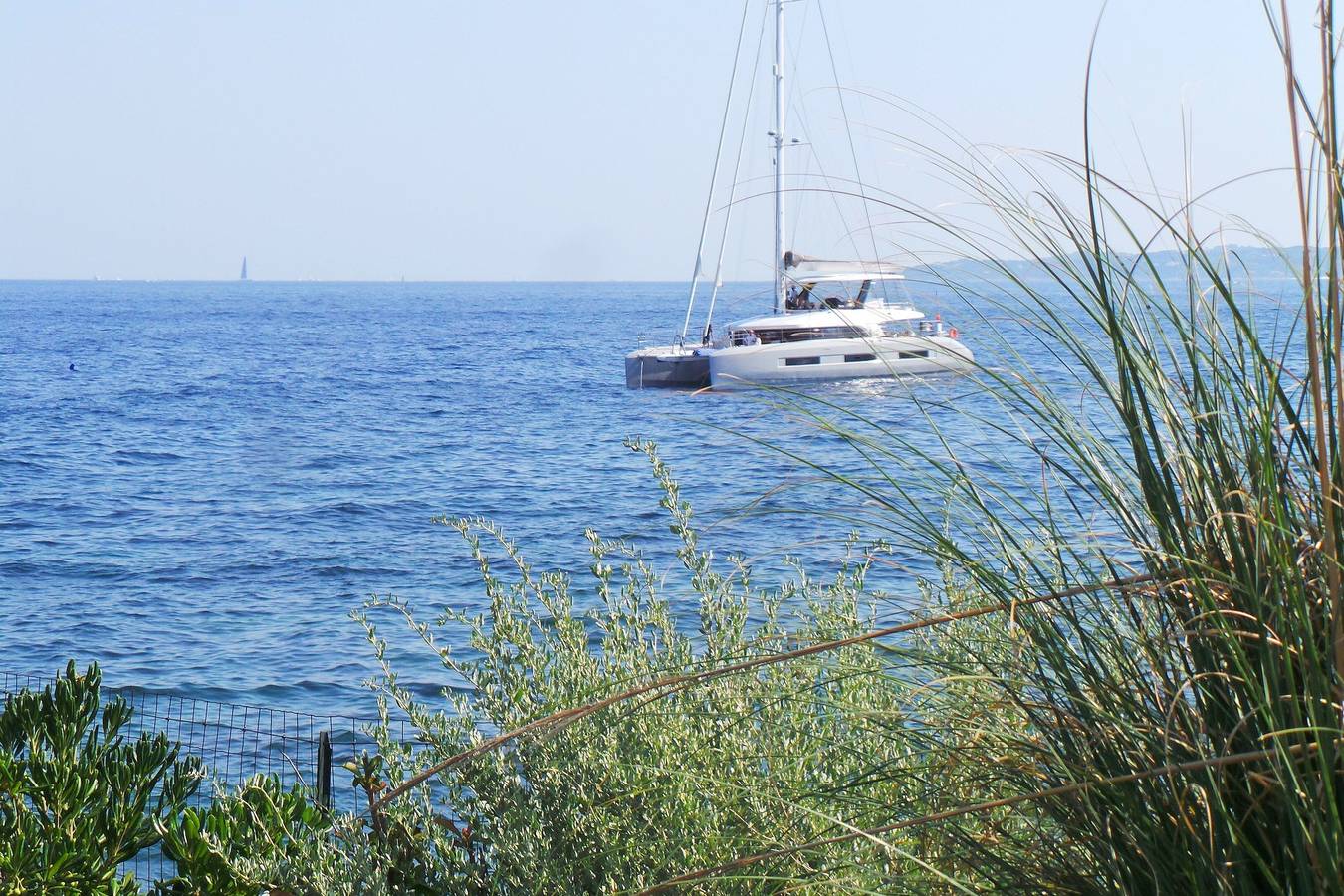 Coryphène pied dans l eau in Les Issambres, Roquebrune-sur-Argens